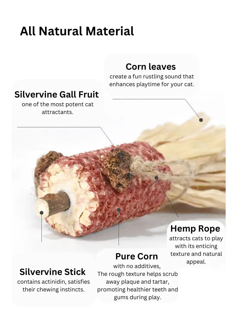 Silvervine Corn Goldfish CATWANT