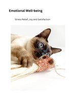 Silvervine Corn Goldfish CATWANT