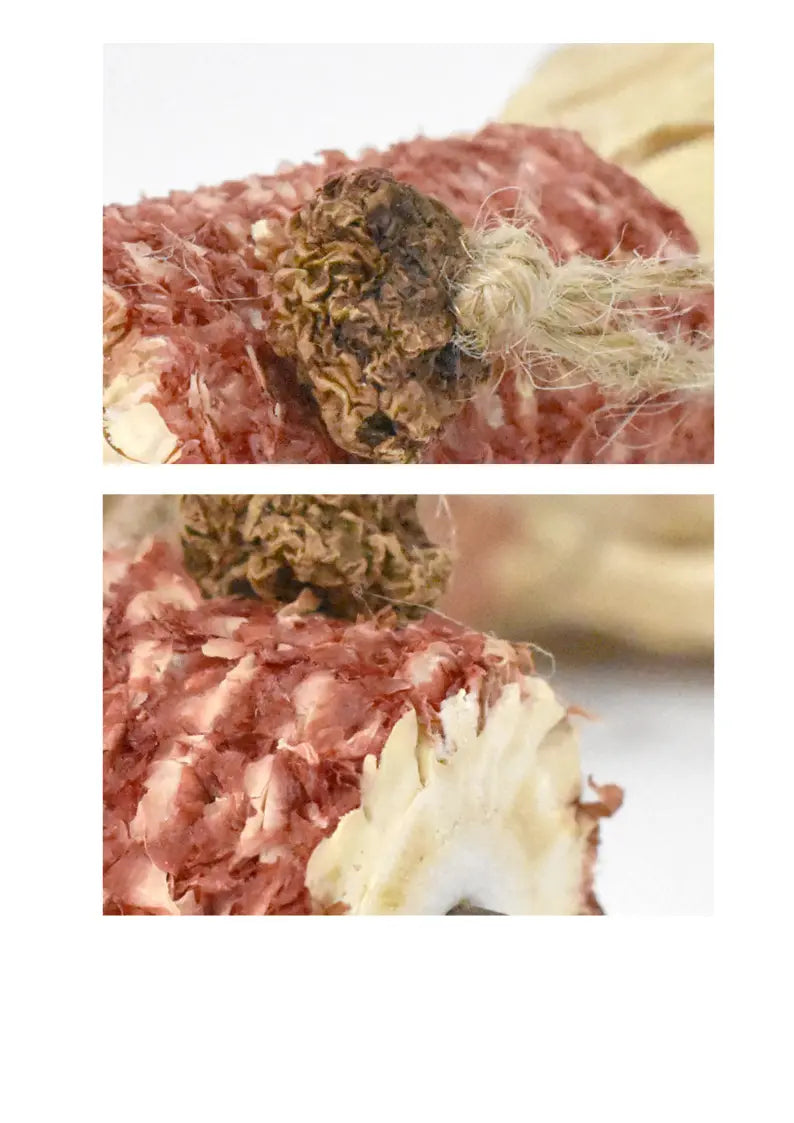 Silvervine Corn Goldfish CATWANT