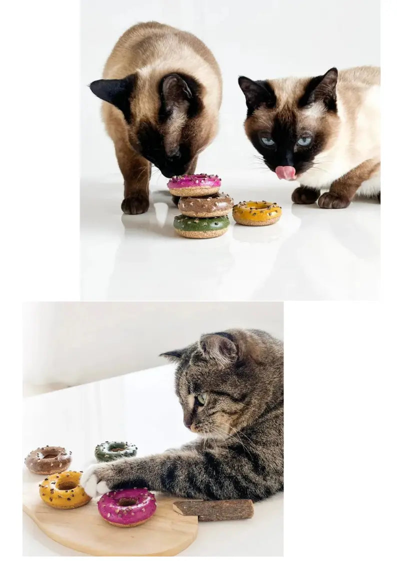 Silvervine Donut CATWANT