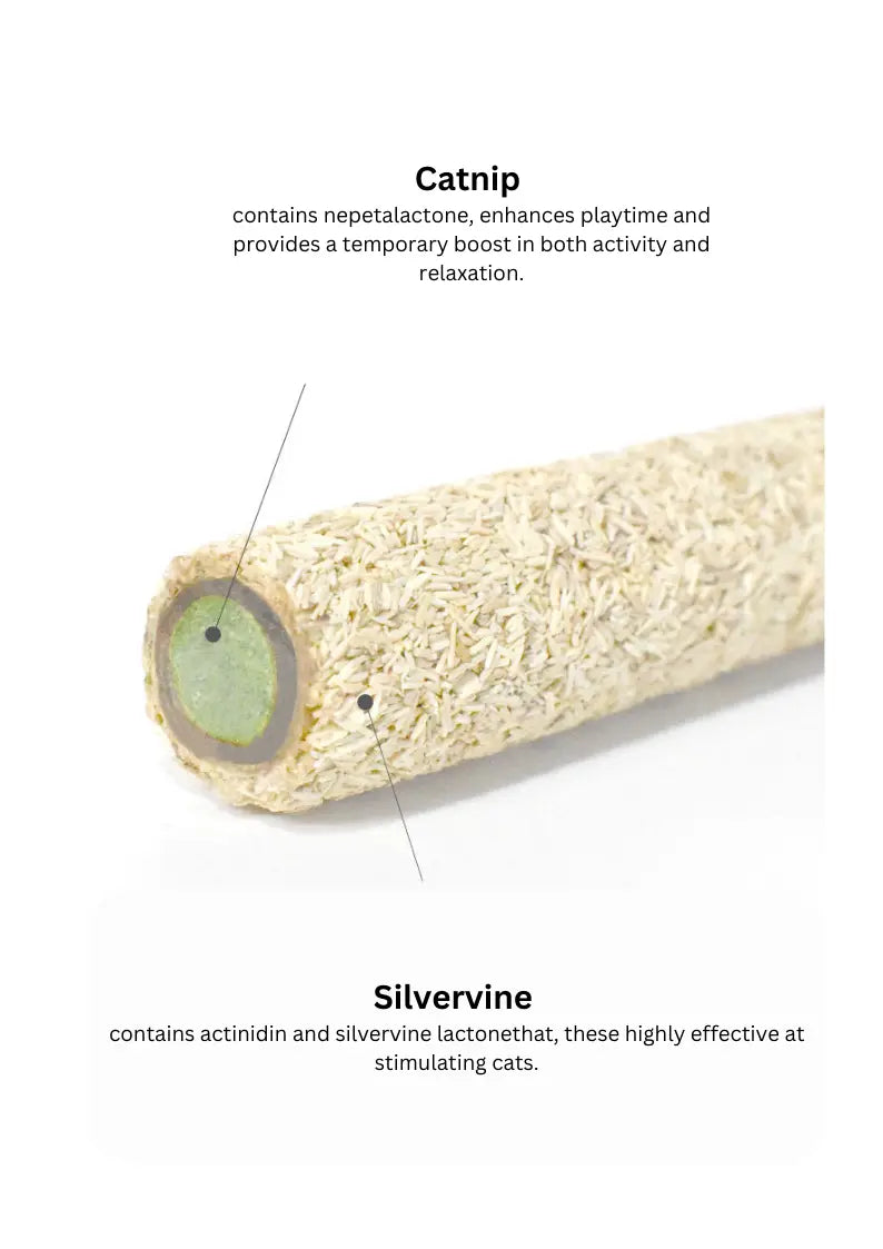 Silvervine Egg Rolls 2pcs CATWANT