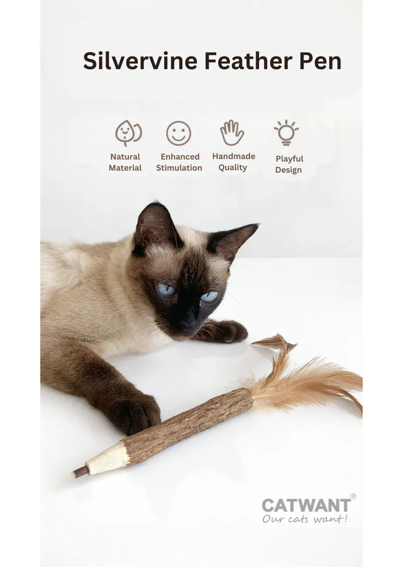 Silvervine Feather Pen CATWANT