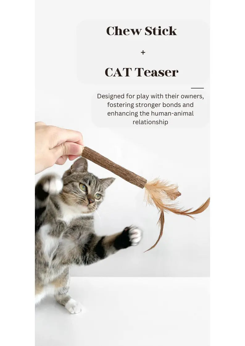 Silvervine Feather Pen CATWANT