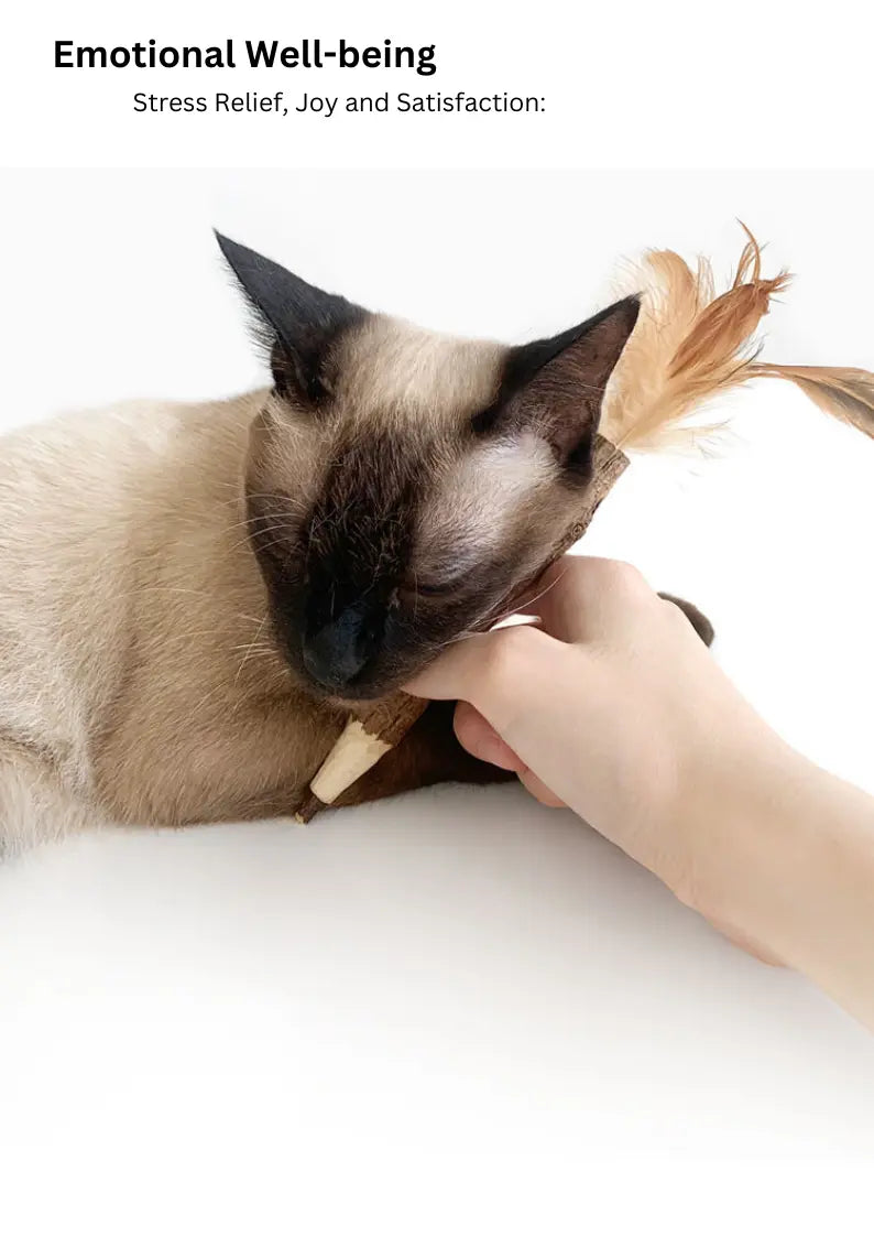 Silvervine Feather Pen CATWANT