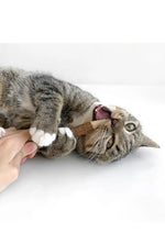 Silvervine Feather Pen CATWANT