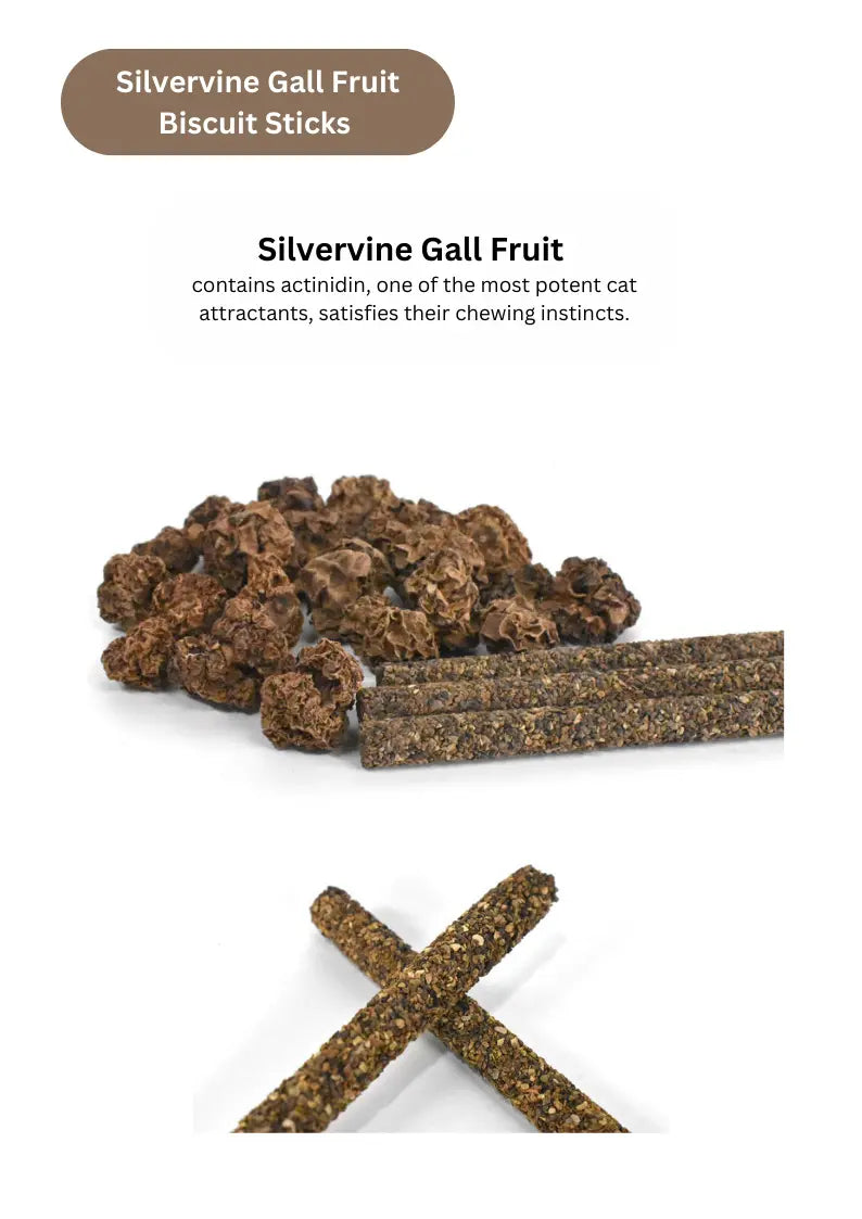 Silvervine Gall Fruit / Catnip Biscuit Sticks - 8pcs CATWANT