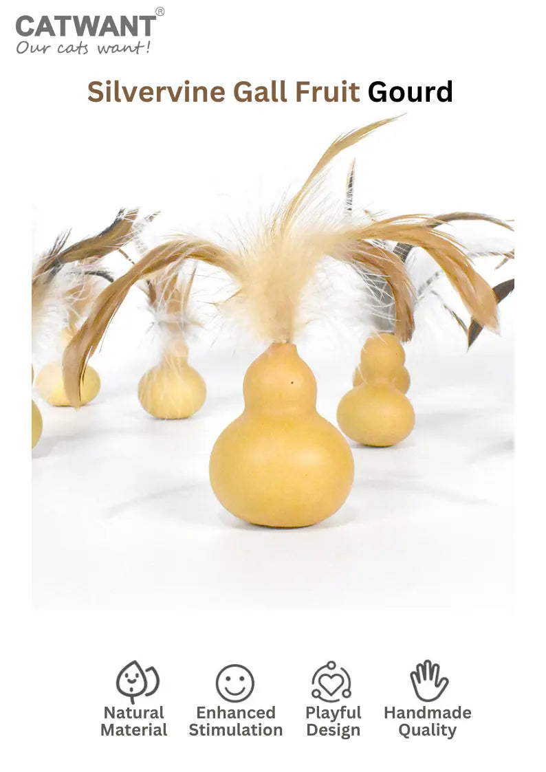 Silvervine Gall Fruit Gourd CATWANT
