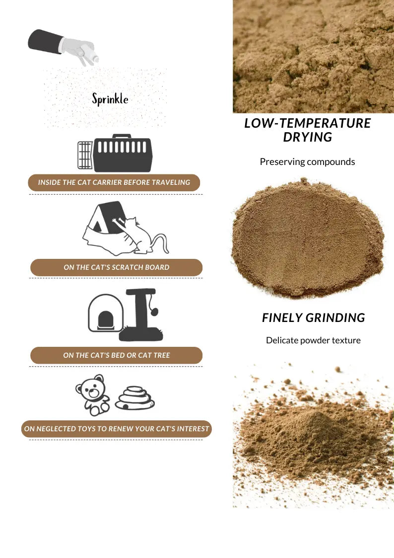 Silvervine Gall Fruit Powder CATWANT