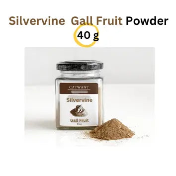 Silvervine Gall Fruit Powder CATWANT