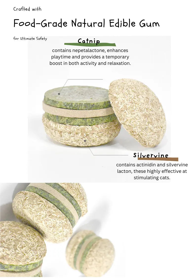 Silvervine Hamburger CATWANT