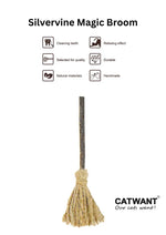 Silvervine Magic Broom CATWANT