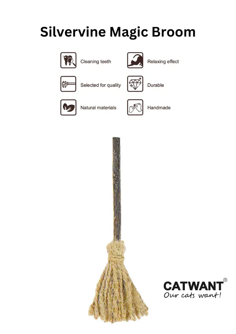 Silvervine Magic Broom CATWANT