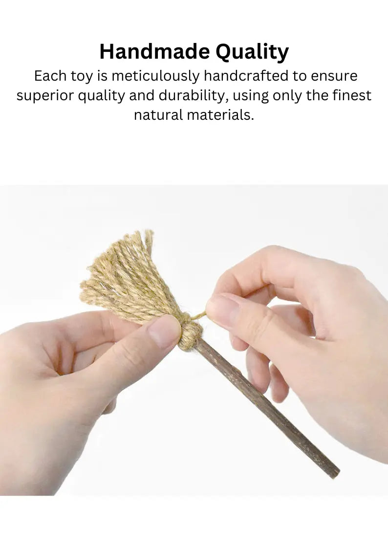 Silvervine Magic Broom CATWANT