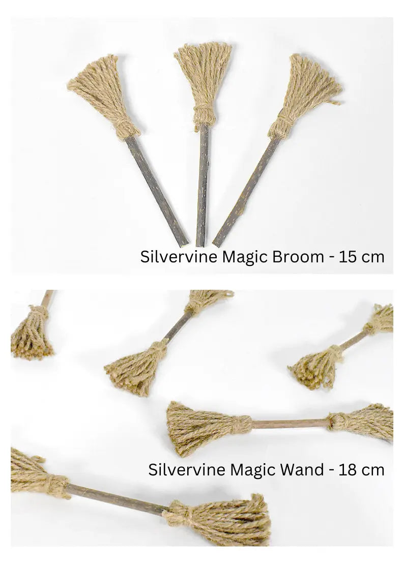 Silvervine Magic Broom CATWANT
