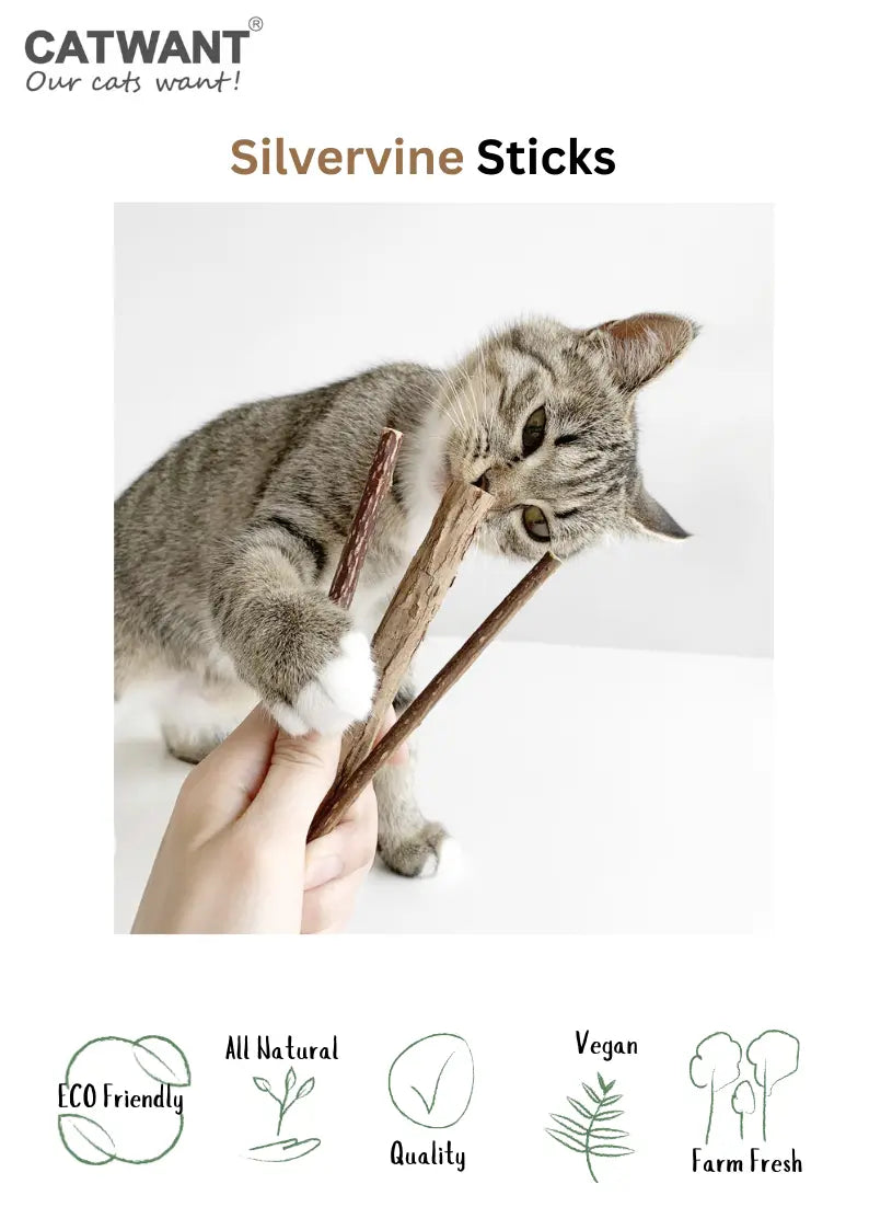 Silvervine Sticks CATWANT