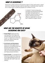 Silvervine Sticks CATWANT