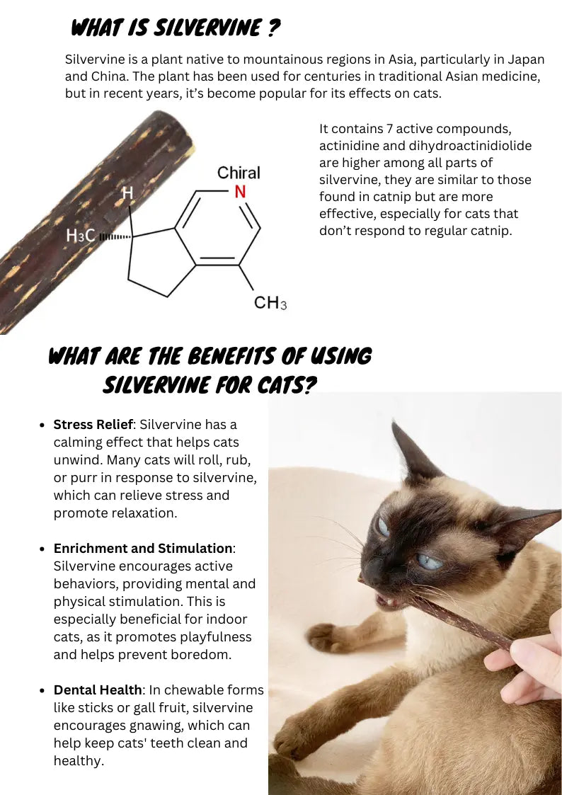 Silvervine Sticks CATWANT