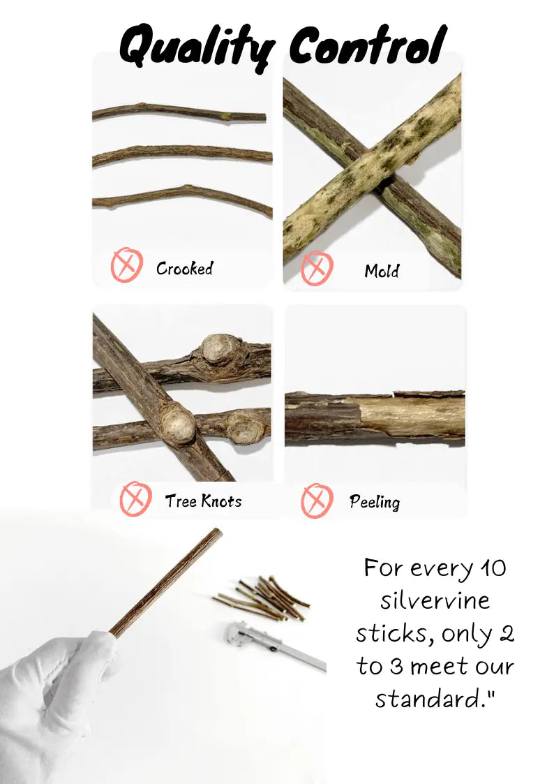 Silvervine Sticks CATWANT