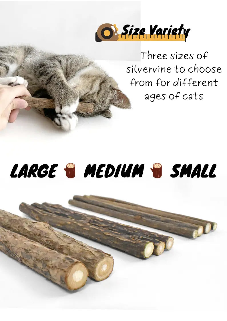Silvervine Sticks CATWANT