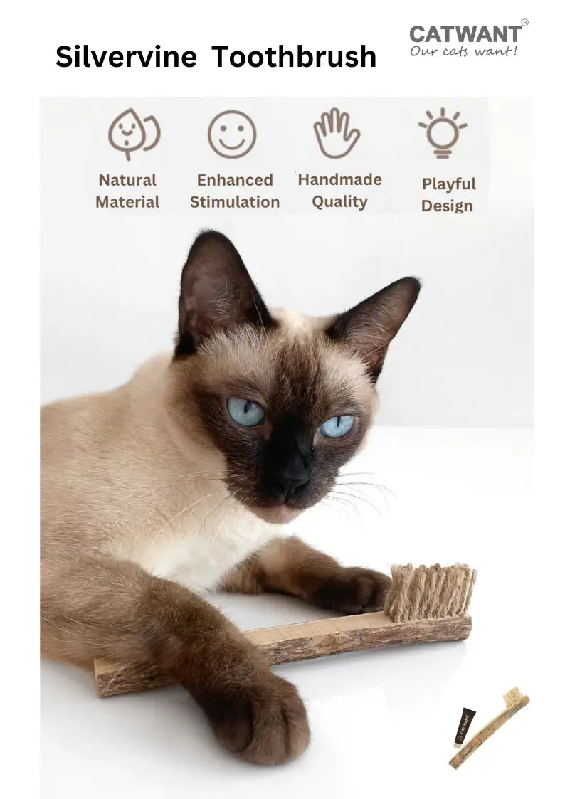 Silvervine Toothbrush CATWANT