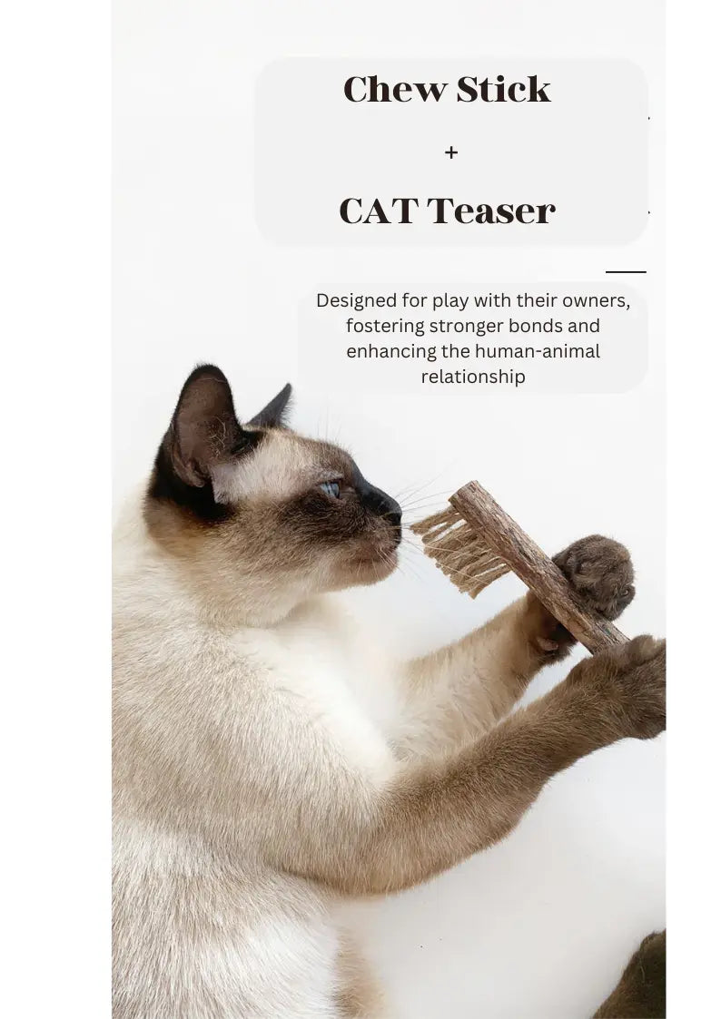 Silvervine Toothbrush CATWANT