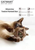 Silvervine Twelve Pointed Star CATWANT