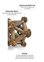 Silvervine Twelve Pointed Star CATWANT