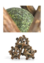 Silvervine Twelve Pointed Star CATWANT