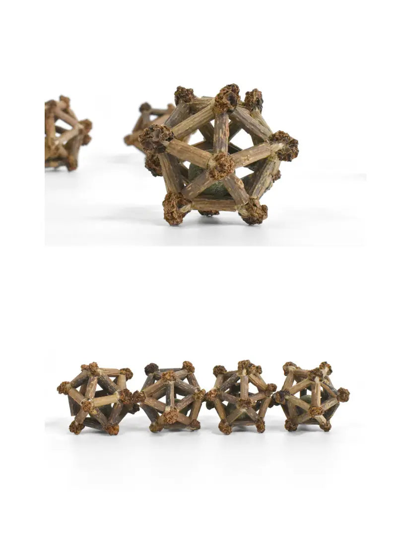 Silvervine Twelve Pointed Star CATWANT