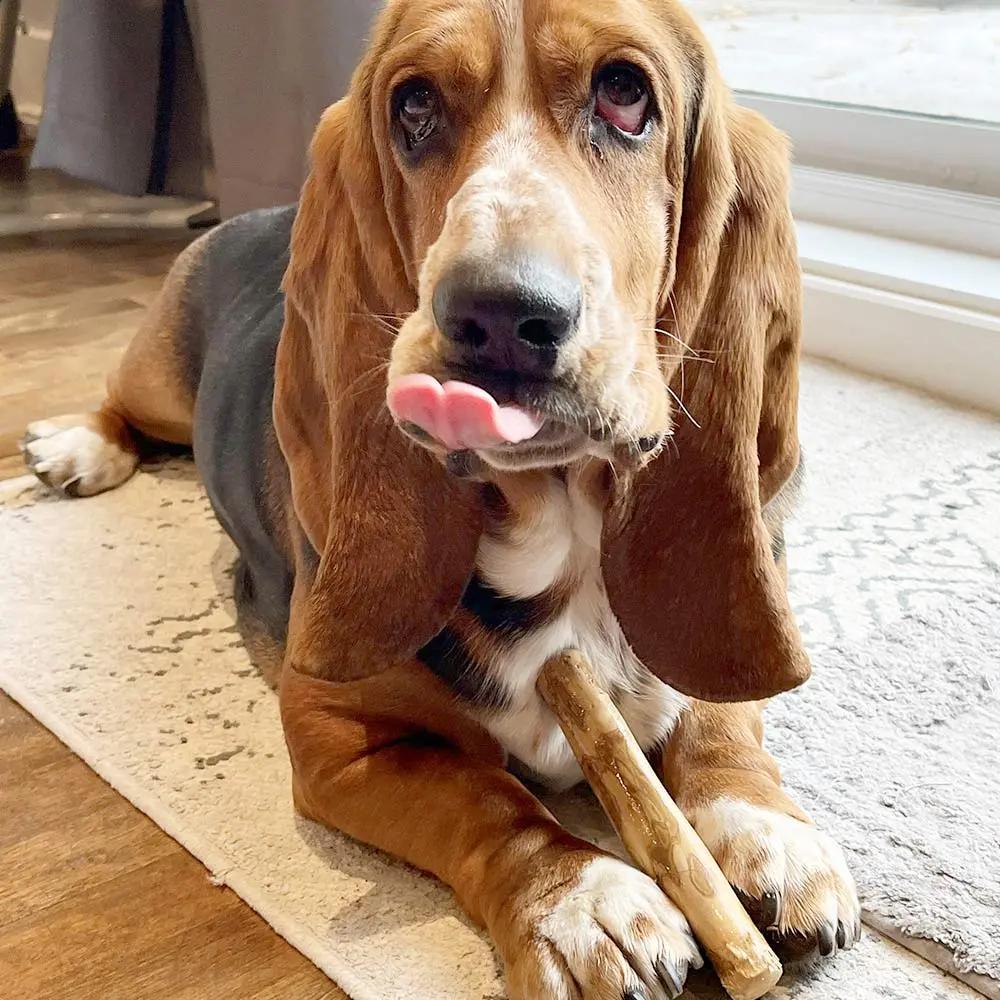 Small Coffee Wood Chew Only One Treats