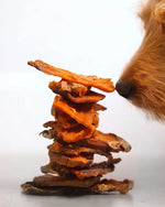 Sweet Potato Chews healthybud