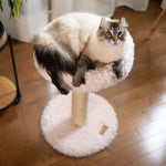 The Blush Perch – 1-Level Cat Tree Noba Animal Co.