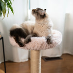 The Blush Perch – 1-Level Cat Tree Noba Animal Co.