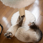 The Blush Perch – 1-Level Cat Tree Noba Animal Co.