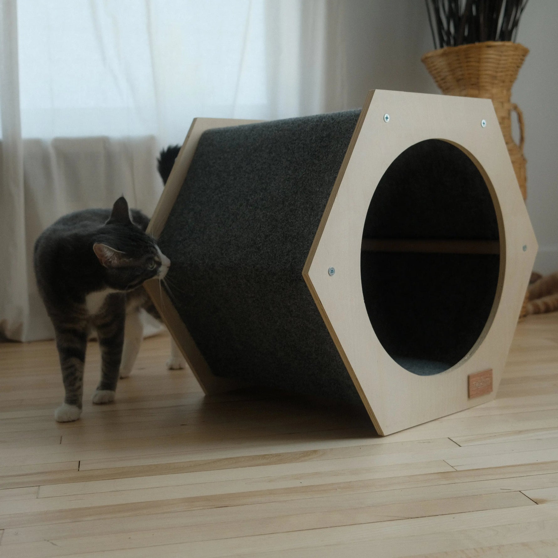 The Hexagone Scratchable Cat House Noba Animal Co.