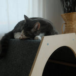 The Hexagone Scratchable Cat House Noba Animal Co.