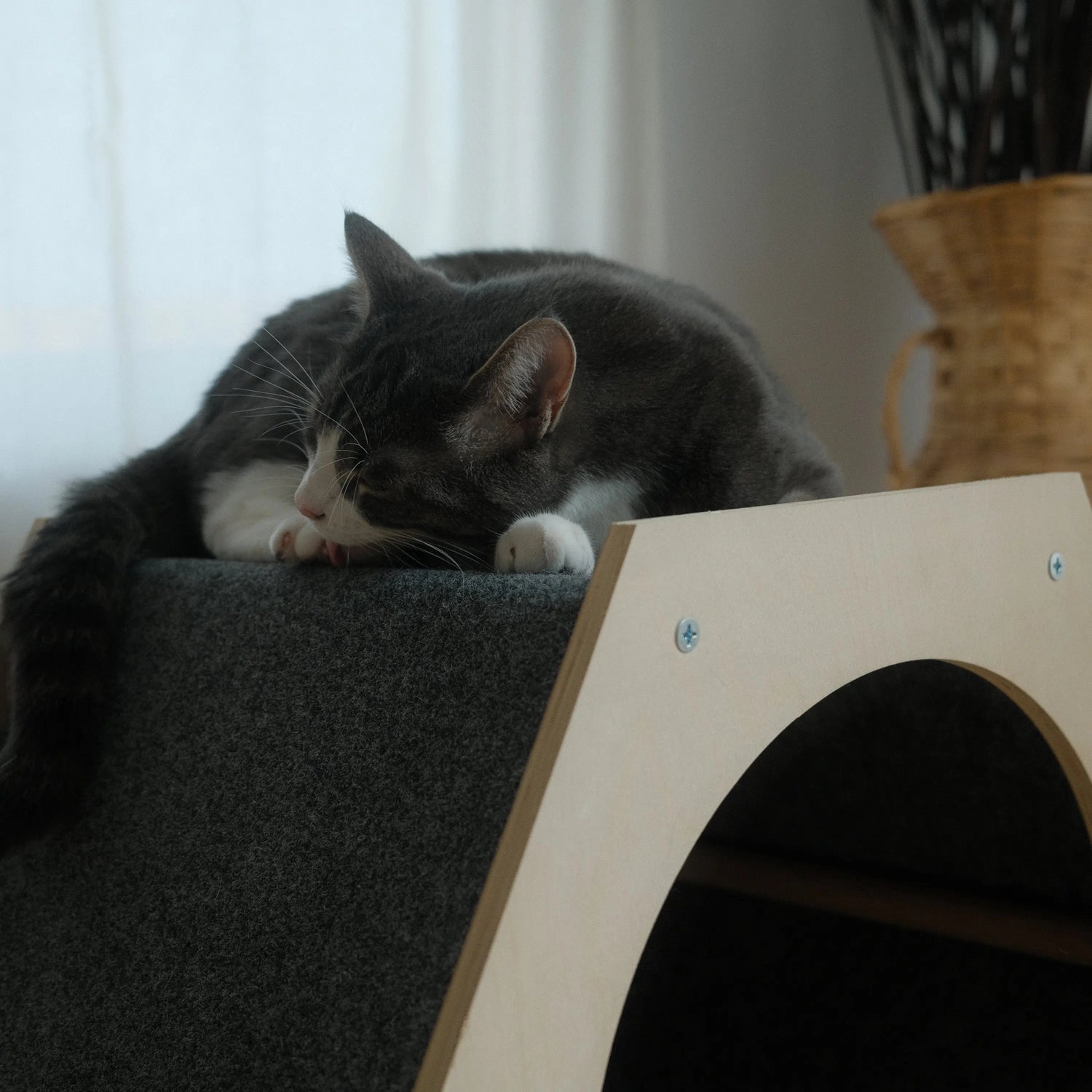 The Hexagone Scratchable Cat House Noba Animal Co.