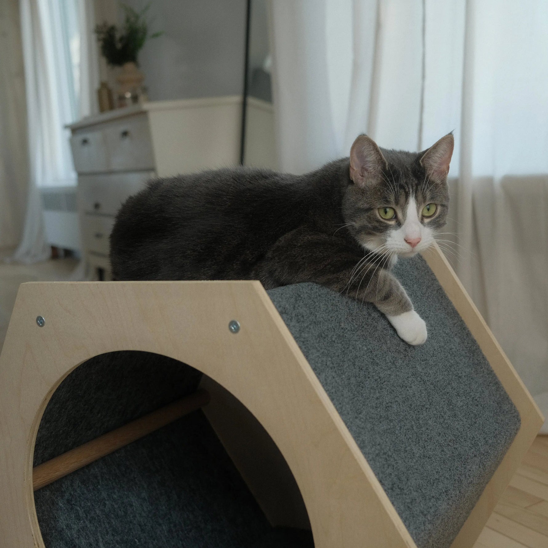 The Hexagone Scratchable Cat House Noba Animal Co.