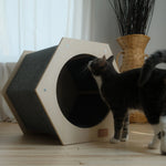 The Hexagone Scratchable Cat House Noba Animal Co.