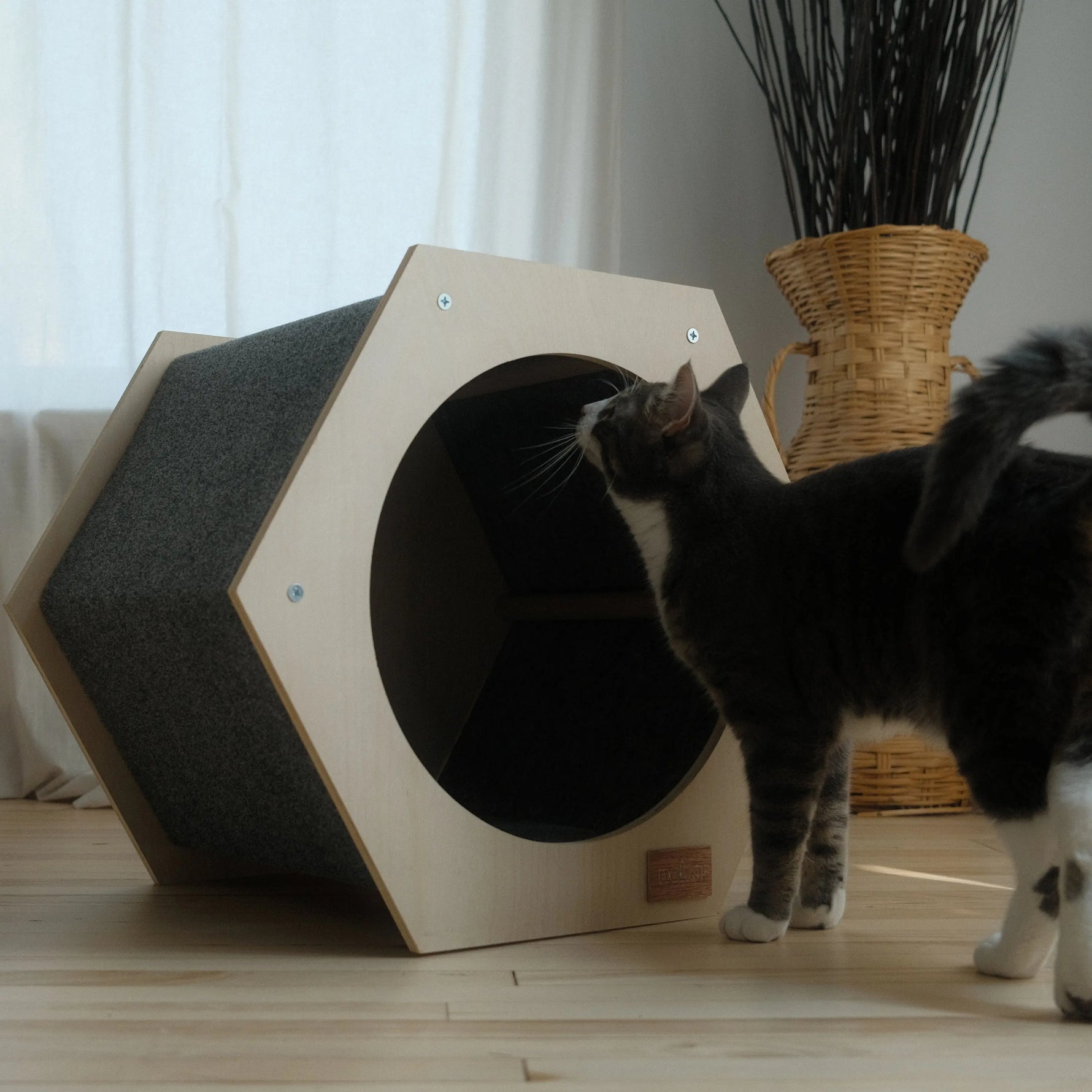 The Hexagone Scratchable Cat House Noba Animal Co.