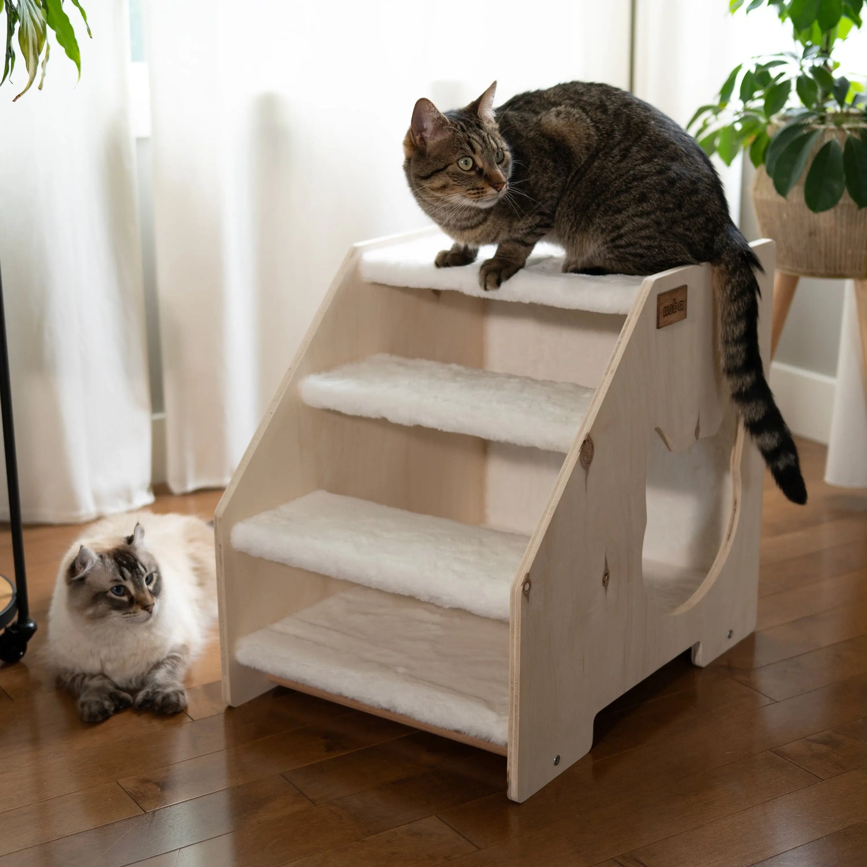 The Stairs Hideout Noba Animal Co.
