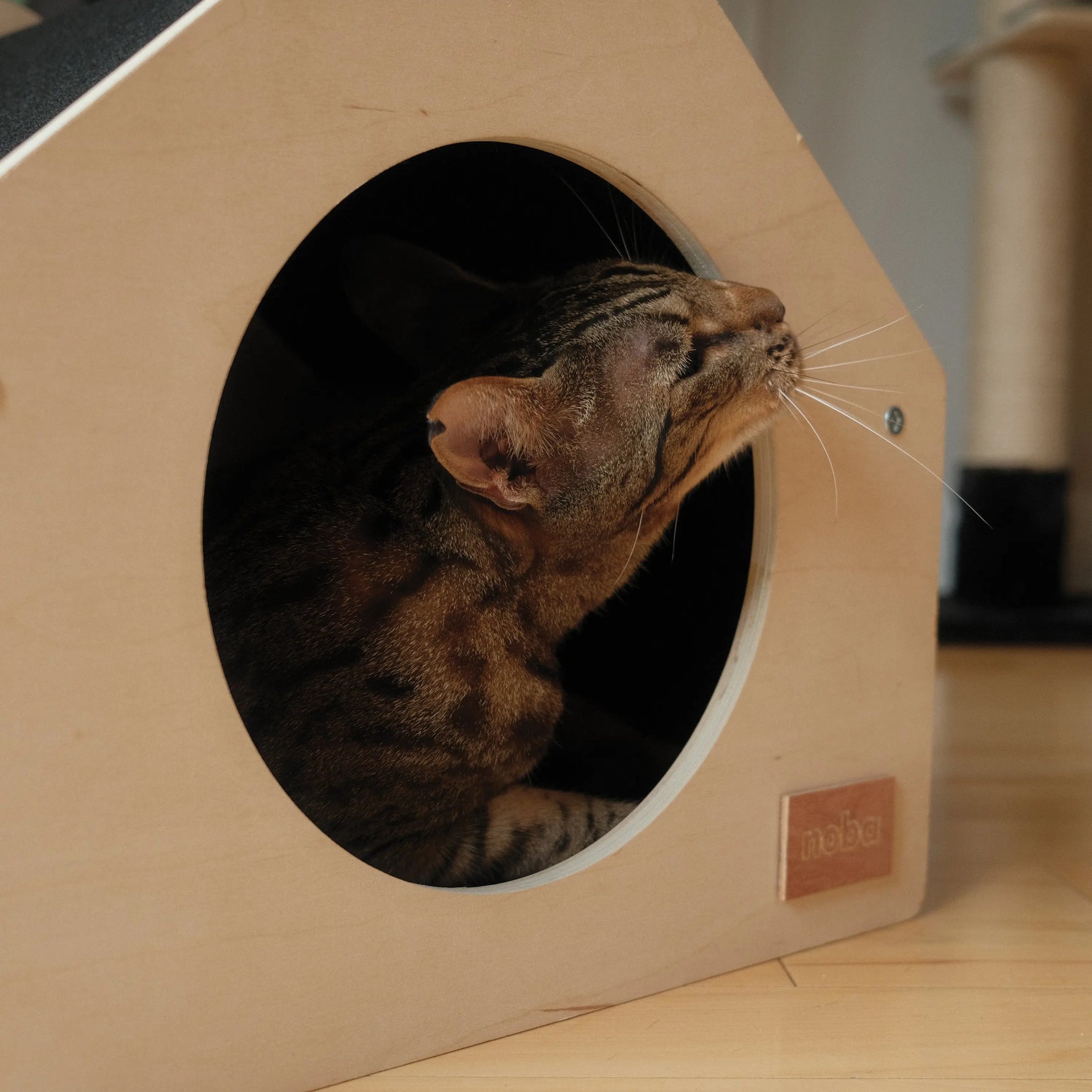 The Urban Condo Pet House Noba Animal Co.