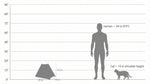 The Urban Teepee Pet House Noba Animal Co.