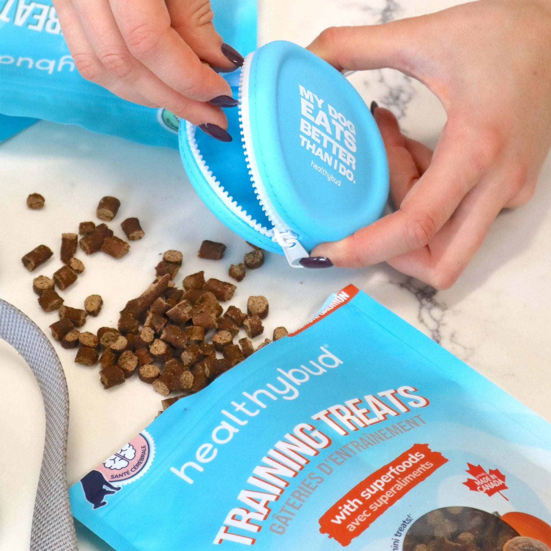 Training Treat Pouch healthybud