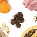 Turkey Gut Booster healthybud