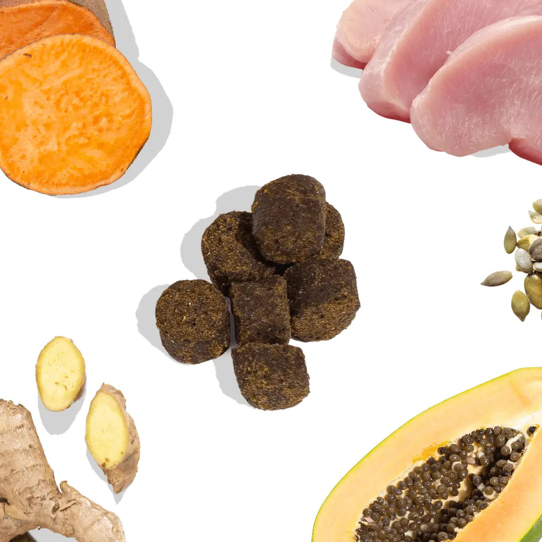 Turkey Gut Booster healthybud