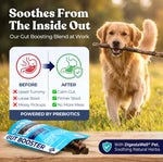 Turkey Gut Booster healthybud