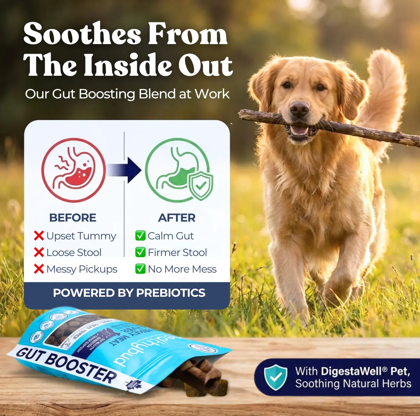 Turkey Gut Booster healthybud