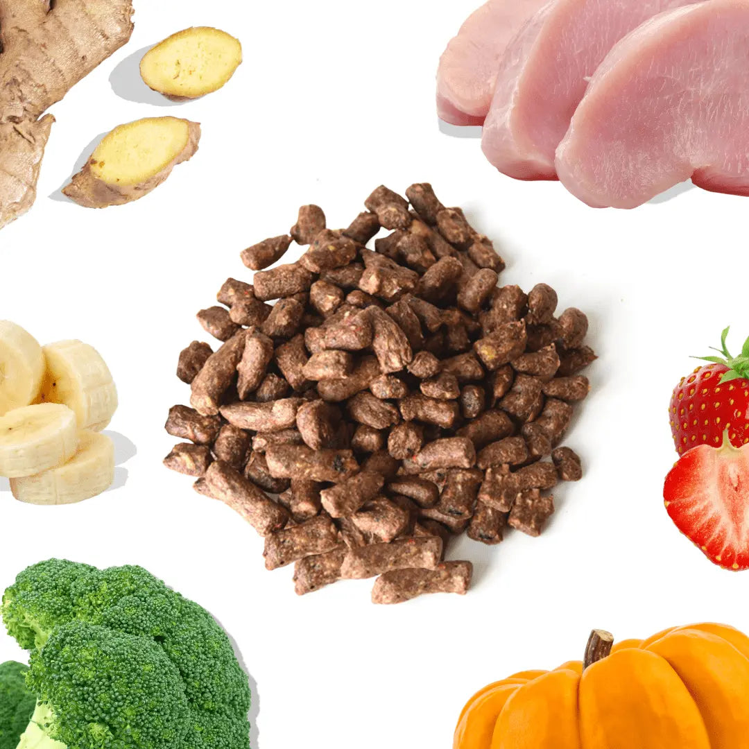 Turkey Meal Bites healthybud