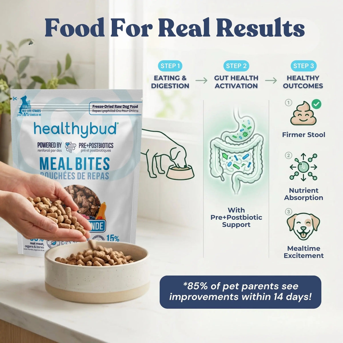Turkey Meal Bites healthybud